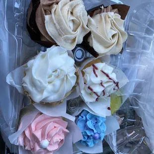 Sunshine Cupcakes Etc