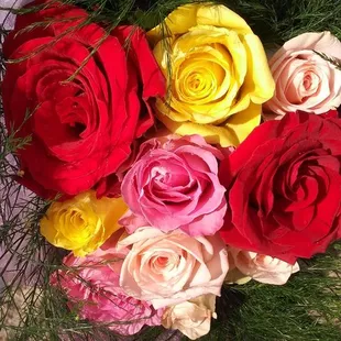 Amazingly beautiful roses!