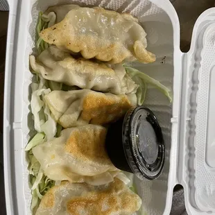 Pan fried gyoza pretty good