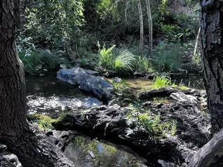 Natural Bridges Hiking Trail