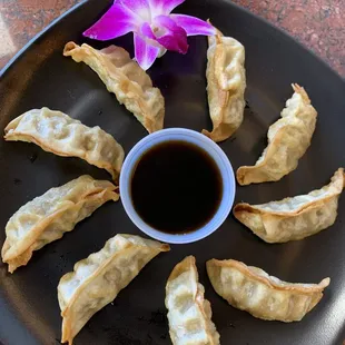 Beef Pot Stickers