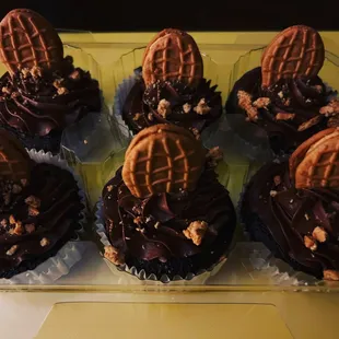 Dumbo cupcakes
