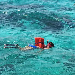 Snorkle near Stingray City, Grand Cayman
