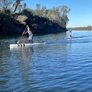 New Year's Day Paddle