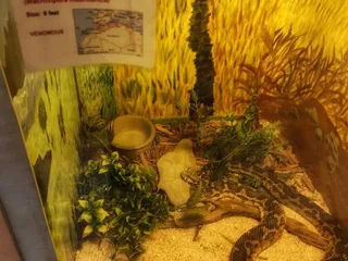 Kentucky Reptile Zoo