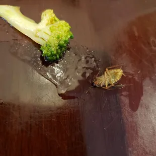 Roach in the chicken and broccoli. After I ate most of my food.