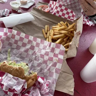 a person eating a hot dog and french fries