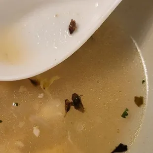 Oregano
