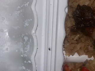 Super Chicken Rico