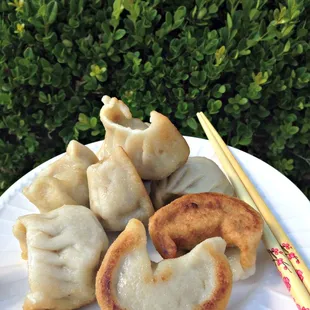 Fried Dumplings