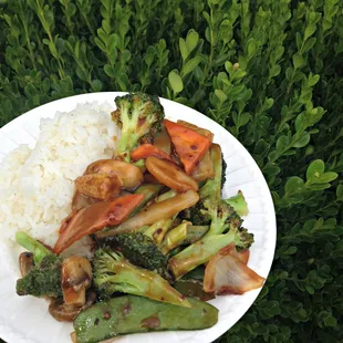 Mixed Vegetables w/ White Rice