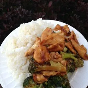 Chicken and Broccoli w/ White Rice