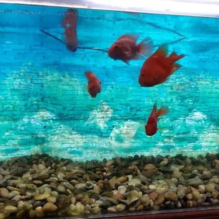 Food was good but some stuff was a little bit bland and or chewy