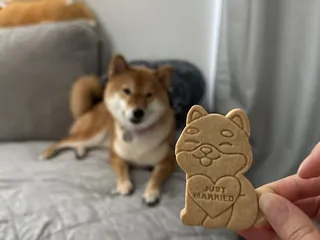 Parker's Crazy Cookies