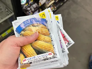Dollar General