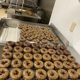 a tray of doughnuts on a conveyor belt