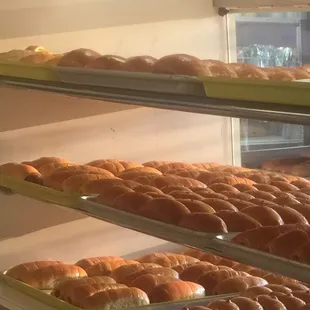 donuts in a display case