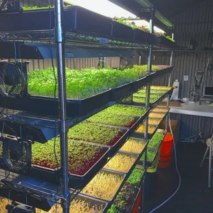 Our operation is in full bloom