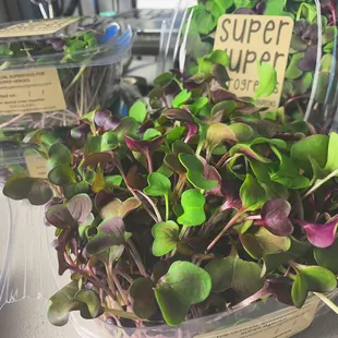 Our packages my look small, but are packed with with enough greens to last you the entire week