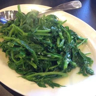 44. Stir-Fried Bean Seedlings