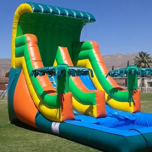Tropical water slide
