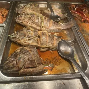 Tilapia!