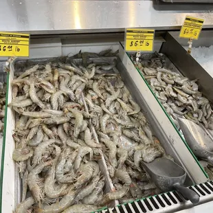 a display of shrimp