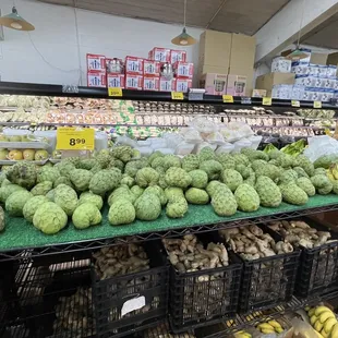 Good prices on cherimoya