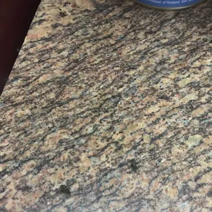 Close up of nasty dead flies at bakery.