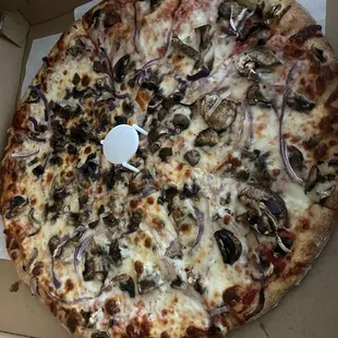 Mushroom and onion Birria Pizza (16'')
