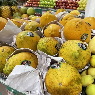 Papaya
