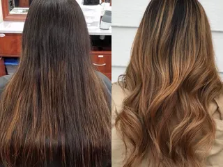 Hair Evolutions