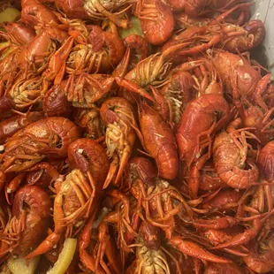 hot boiled crawfish now $4.99/ pound