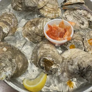 shellfish, mussels, food, oysters, oysters and mussels