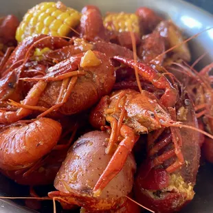 Crawfish
