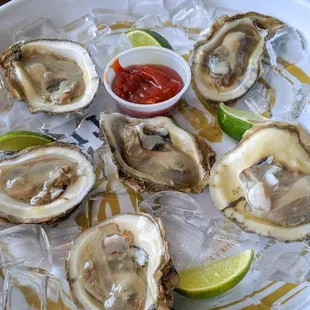 Raw Oysters