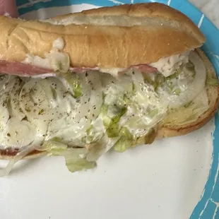22. Turkey, Salami &amp; Provolone Sub with no oil and no tomatoes