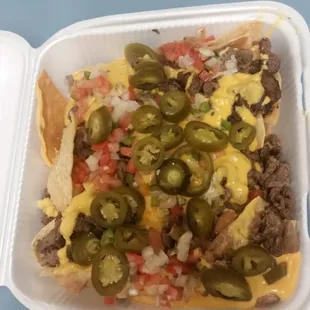 Carne asada nachos