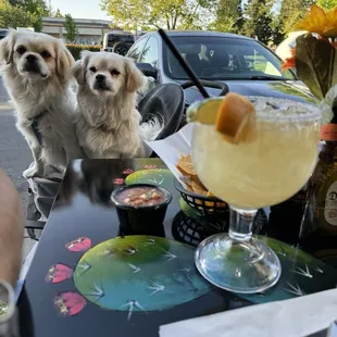 Oscar and Felix visiting Super Taco!