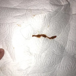 A hella long hair in the adobada