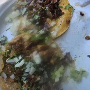 Muy Malos Los tacos no Los recomiendo