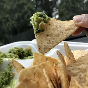 Guacamole and Tortilla Chips