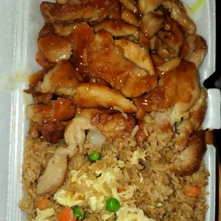 chicken and rice in a styrofoam container