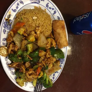 Chicken, mixed veggies with brown garlic sauce sauce = yummy.