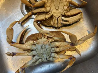 Goldstar Supermarket