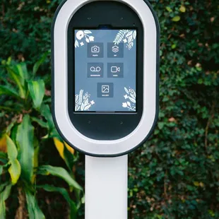 Pictures, Videos, Boomerangs, Gifs!