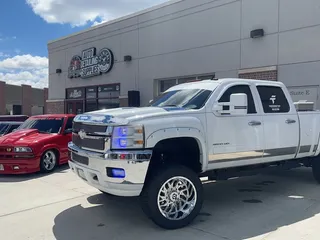 Freedom Tint