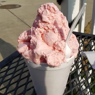 Superior Dairy