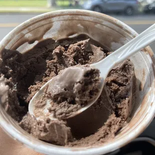 Chocolate! Single scoop was huge! Yumm!