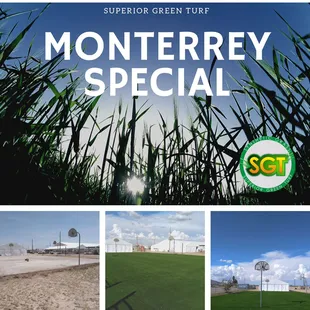 Monterrey Special Turf